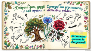 Які органи у квіткової рослини. 5 клас НУШ