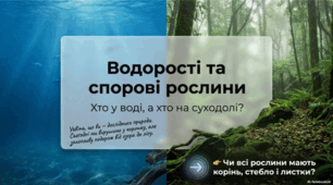 Водорості та спорові рослини: хто у воді, а хто на суходолі. 5 клас НУШ