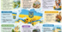 Ukraine — Our Motherland (Unit 7: Ukraine profile). Brainstorm the most important facts about Ukraine