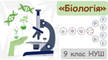 Вступ. 9 клас НУШ