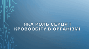 Яка роль серця і кровообігу в організмі