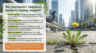 Які рослини і тварини живуть серед людей — презентація НУШ 6 клас (пізнаємо природу, синантропні організми)