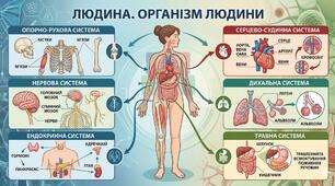 Діагностувальна робота на тему: "Людина. Організм людини"