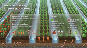 У чому відмінність лісу та парку — презентація НУШ для 6 класу (пізнаємо природу, екосистеми, природне і штучне середовище, порівняння лісу і парку)