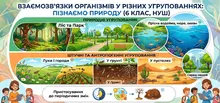 Взаємозв’язки організмів між собою та неживою природою в різних угрупованнях - Пізнаємо природу, 6 клас, НУШ