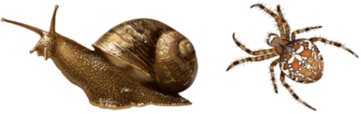 0901ku1b-9762-527x167.png