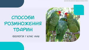 36. Способи розмноження тварин»