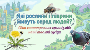 § 49. ЯКІ РОСЛИНИ І ТВАРИНИ ЖИВУТЬ СЕРЕД ЛЮДЕЙ