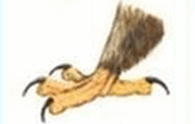 0901kur6-b631-178x114.png