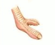 0901kura-9fe8-182x150.png