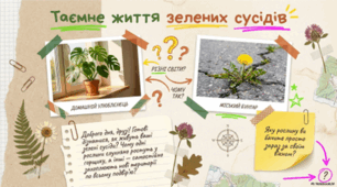 Пристосування до життя та різноманітність рослин