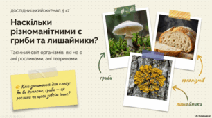 Наскільки різноманітними є гриби та лишайники і яке їхнє значення