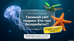 Хто такі безхребетні тварини?