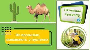 Презентація "Як організми виживають в пустелях". Пізнаємо природу. 6 клас НУШ