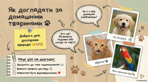Як доглядати за домашніми тваринами