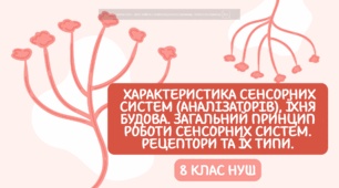 Характеристика сенсорних систем (аналізаторів), їхня будова. Загальний принцип роботи сенсорних систем. Рецептори та їх типи.