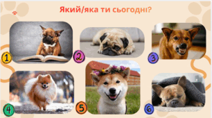 Криголами