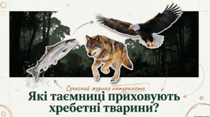 Матеріали до уроку 🐛🦋🐞🕷️🦂🐌🦑🦐🦀🐙Які таємниці приховують хребетні тварини. Роль тварин у природі та для людини. Практична робота. Визначення тварини своєї місцевості за особливостями зовнішньої будови та її опис за зразком. 5 кл НУШ