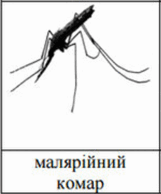 0901kz6q-d213-449x540.png