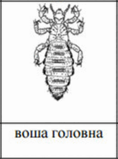 0901kz6v-8067-401x540.png