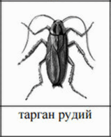 0901kz6x-b1cb-438x540.png