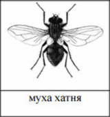 0901kz6y-ff03-507x539.png