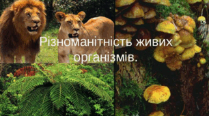 Діагностична робота з теми "Пізнаємо різноманітність організмів"
