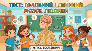 Головний і спинний мозок людини