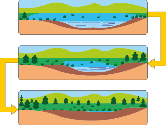 0901l106-9add-549x412.png