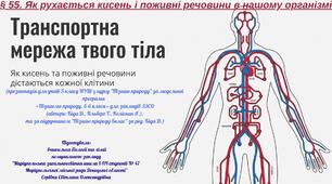§ 55. Як рухається кисень і поживні речовини в нашому організмі
