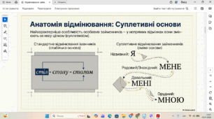 Відмінювання займенників. Явище прономіналізації. Правопис займенників. Написання заперечних, неозначених займенників. Перехід займенників в інші частини мови. Стилістичні функції займенників.
