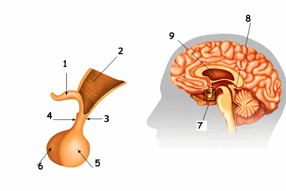 0901l5a4-fef4-940x627.png