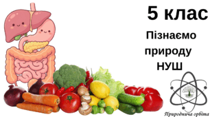 Звідки наш організм бере енергію та будівельний матеріал 