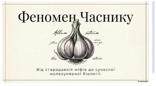 Презентація "Феномен часнику"