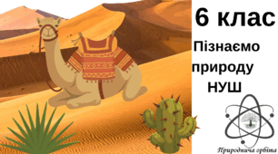 Як організми виживають в пустелях