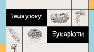 Еукаріоти