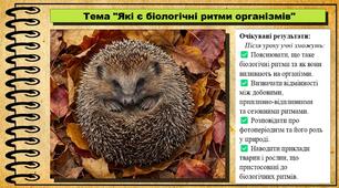 Які є біологічні ритми організмів. Пізнаємо природу. 6 клас. До підручника Гільберг Т.