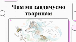 Матеріали до уроку.🐾🐶🐱💚 Догляд за домашніми тваринами. Чим ми завдячуємо тваринам. 5 кл НУШ