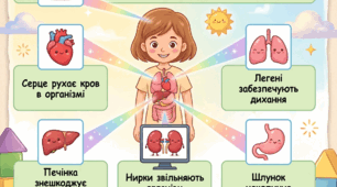 Будова тіла. Органи. Людина.
