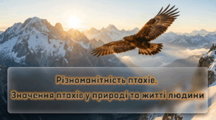 Різноманітність птахів. Значення птахів у природі та житті людини