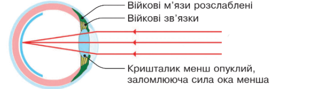 0901lllf-6223-652x177.png