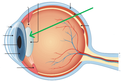 0901lloj-9ad3-512x338.png