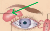 0901llqd-d689-174x108.png