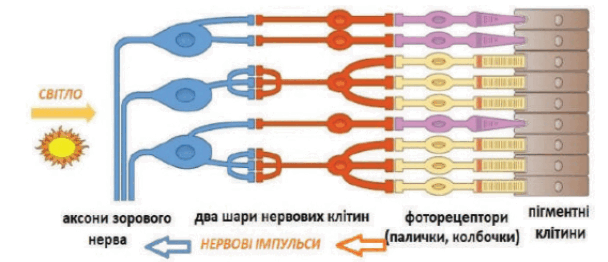 0901llr0-7e16-608x262.png
