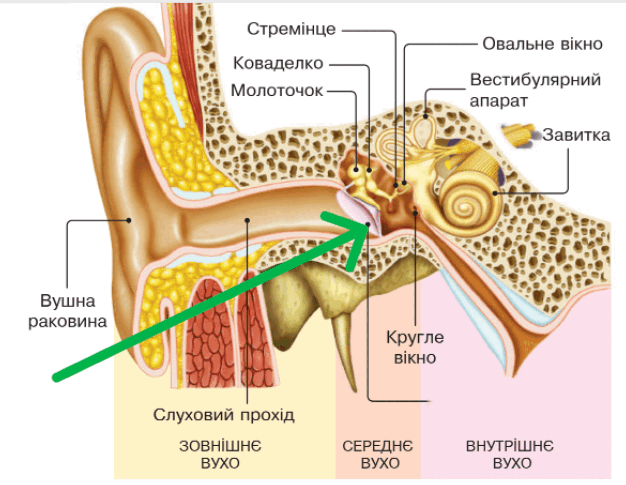 0901llsw-c1b3-626x485.png