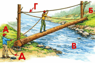 0901llvf-c01d-313x208.png