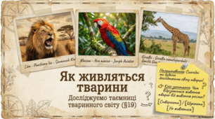 Як живляться тварини