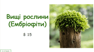 Презентація на тему "Вищі рослини". 10 клас