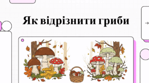 Мистецтво розпізнавання грибів: путівник для безпечного збирання