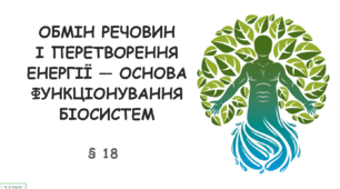 Презентація на тему "Обмін речовин і перетворення енергії" 10 клас
